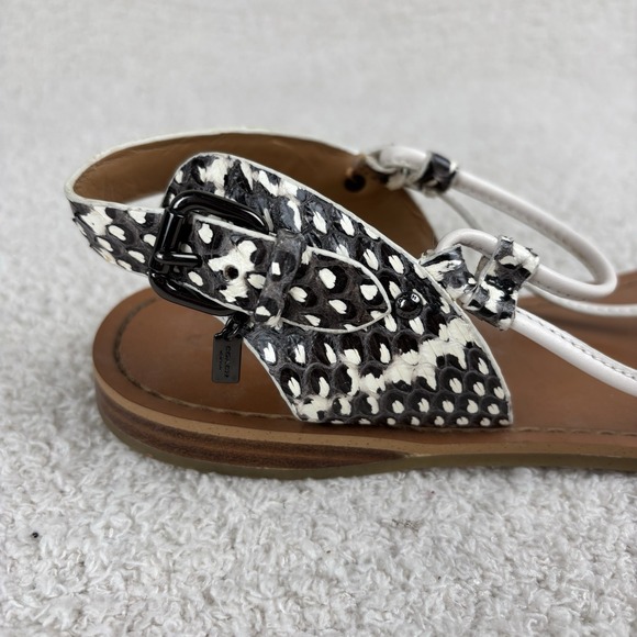 Coach‎ Sandals Womens 9.5B Snake Print Clarkson Leather T-Strap Adjustable Thong - Picture 4 of 14